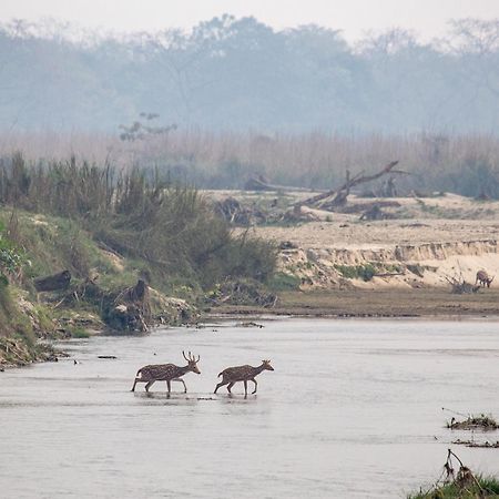 Sanctuary Chitwan National Park Hotel Luaran gambar