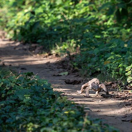 Sanctuary Chitwan National Park Hotel Luaran gambar