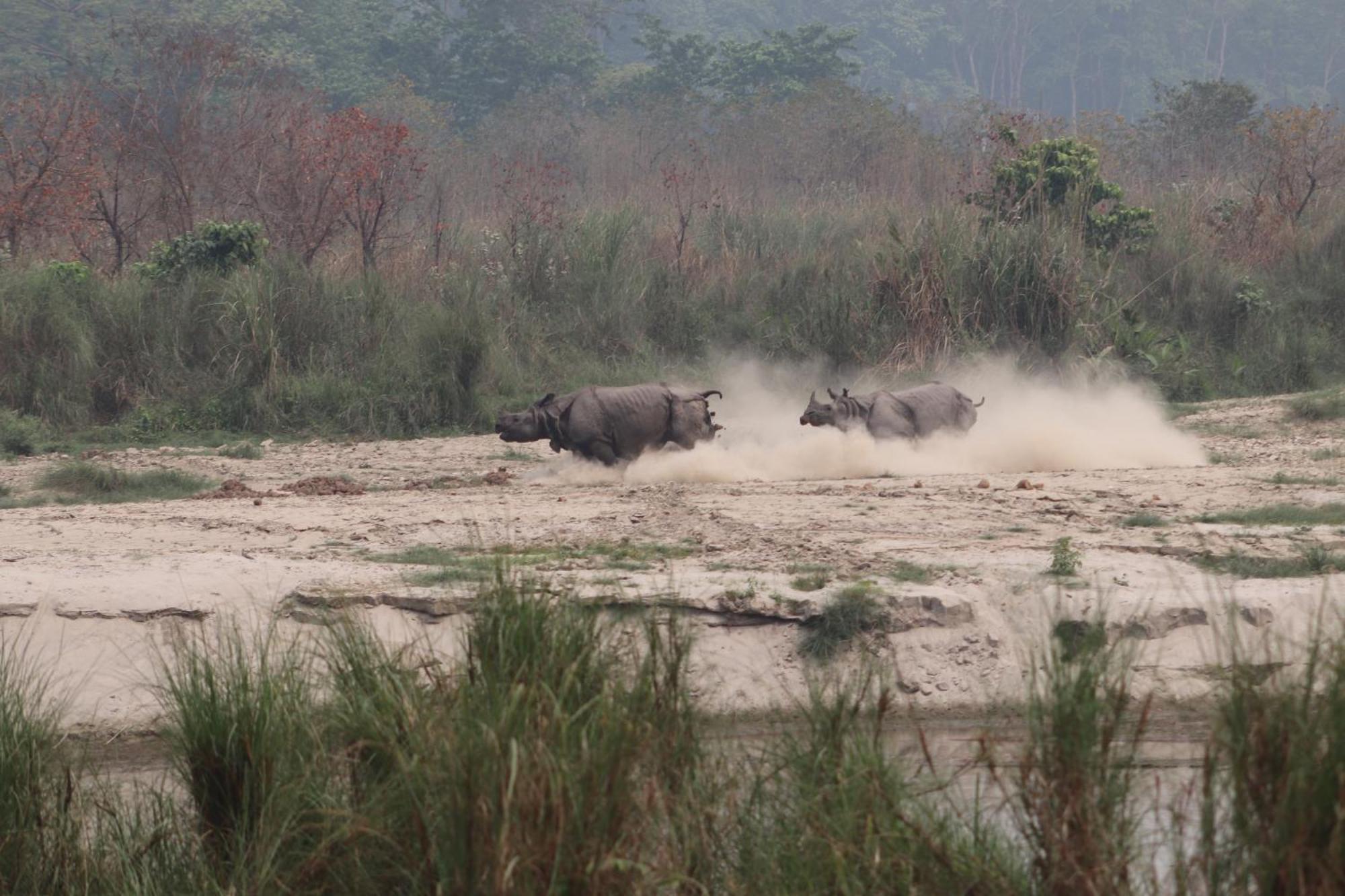 Sanctuary Chitwan National Park Luaran gambar