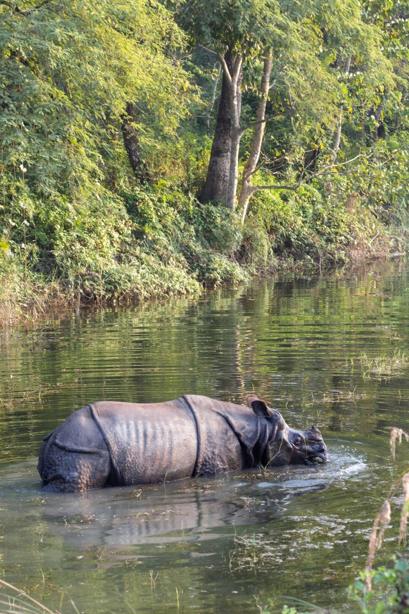 Sanctuary Chitwan National Park Hotel Luaran gambar